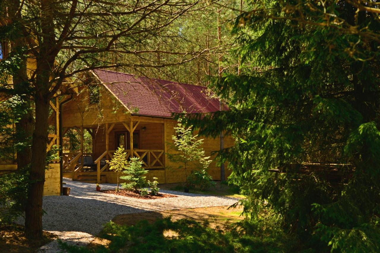 Gizycko - Harsz - - Apartmazury Osada Holiday home Nowy Harsz