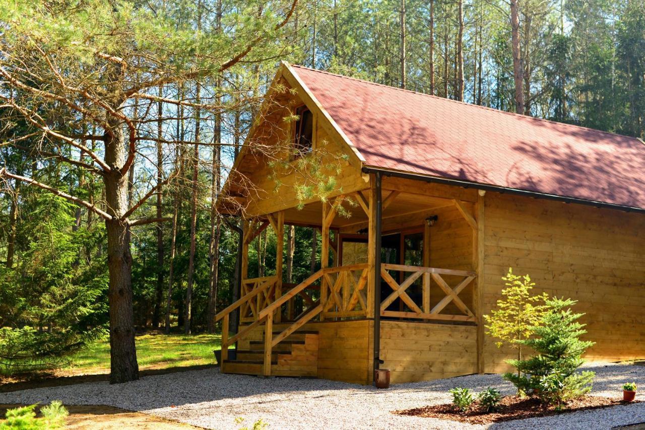 Gizycko - Harsz - - Apartmazury Osada Holiday home *