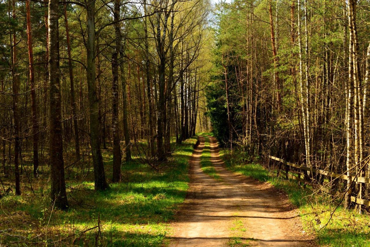 Gizycko - Harsz - - Apartmazury Osada