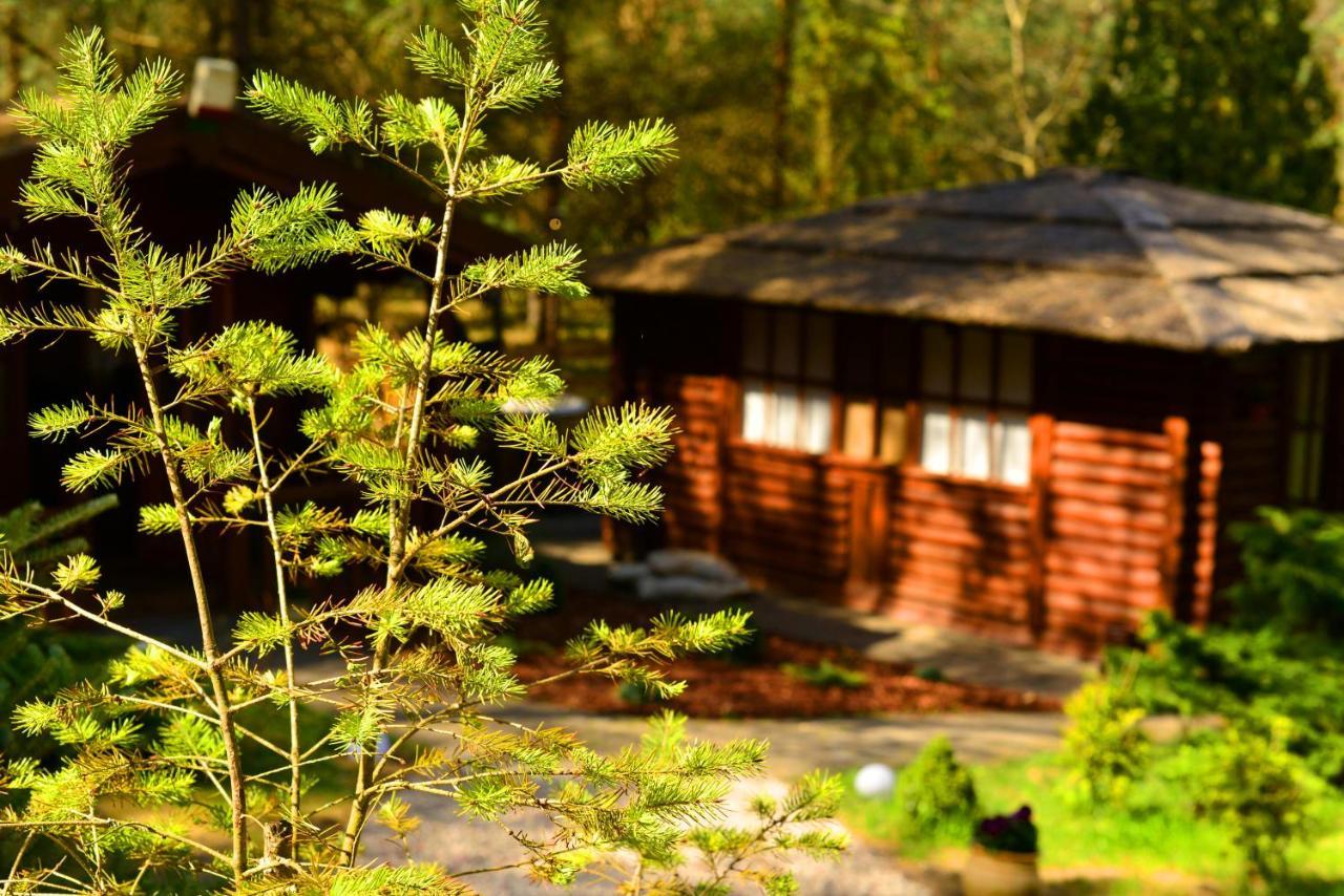 Gizycko - Harsz - - Apartmazury Osada * Nowy Harsz