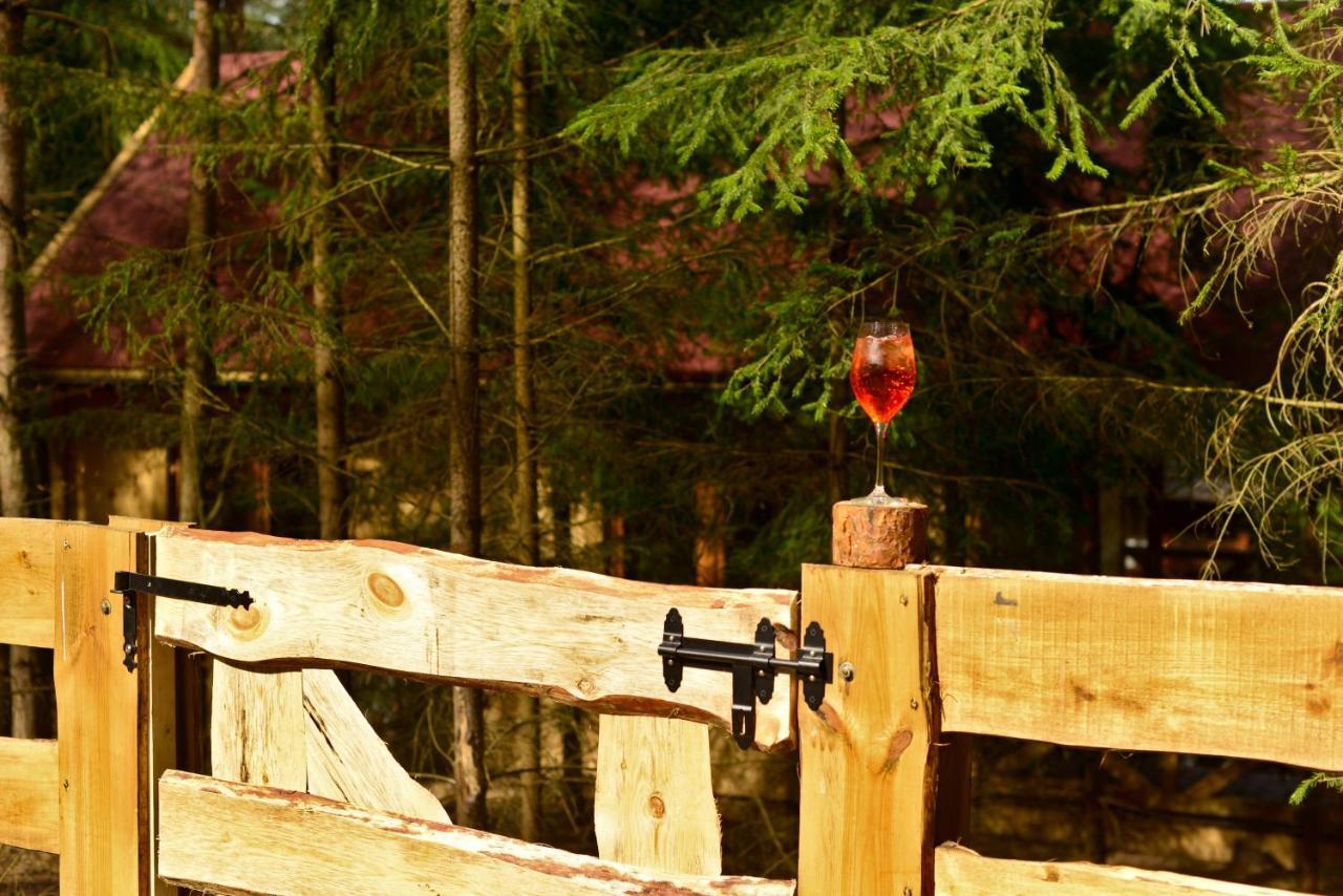 Gizycko - Harsz - - Apartmazury Osada Nowy Harsz