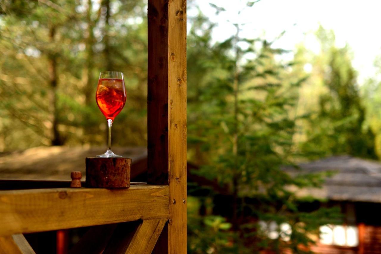 Gizycko - Harsz - - Apartmazury Osada Holiday home