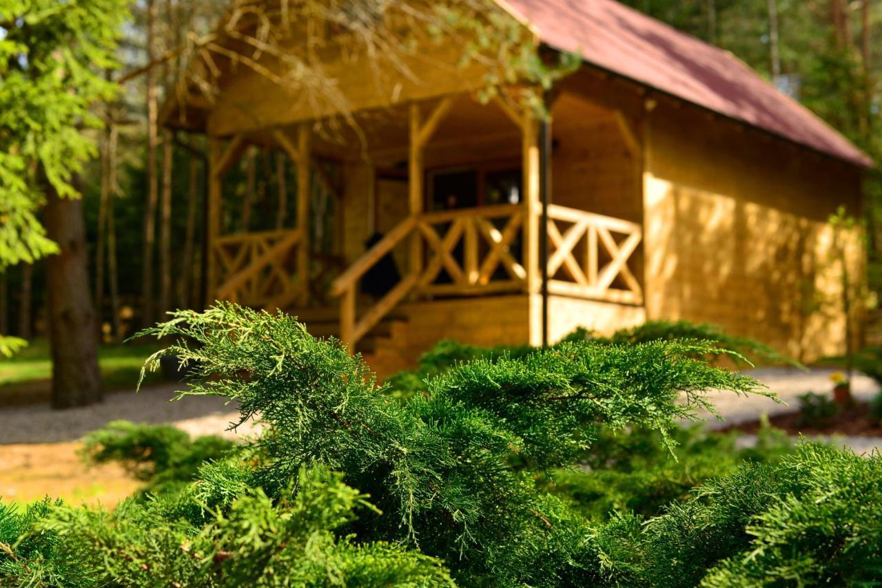 Holiday home Gizycko - Harsz - - Apartmazury Osada Nowy Harsz