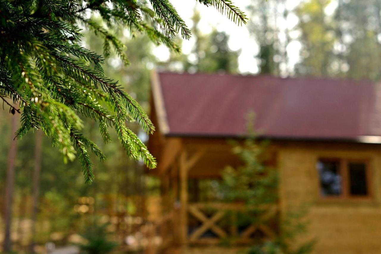 Gizycko - Harsz - - Apartmazury Osada Holiday home Nowy Harsz
