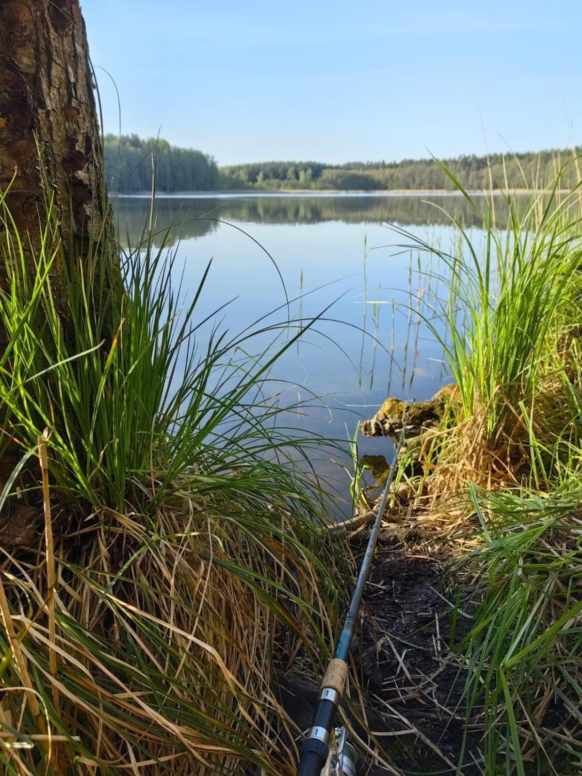 Gizycko - Harsz - - Apartmazury Osada Holiday home Nowy Harsz